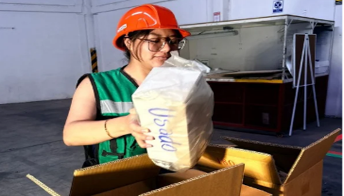 Imagen de Traspaleo de piezas automotrices